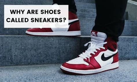 why are sneakers called trainers.